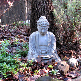 amitabha