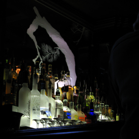 in the bar