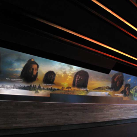 hall of human origins