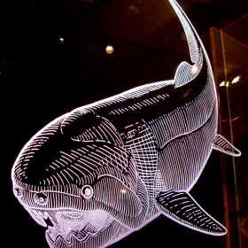 museum of natural history