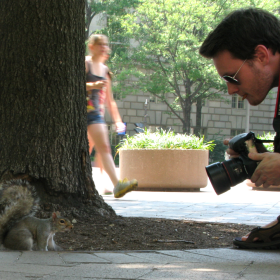 squirrels