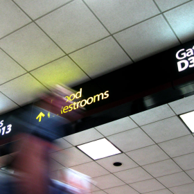 gate