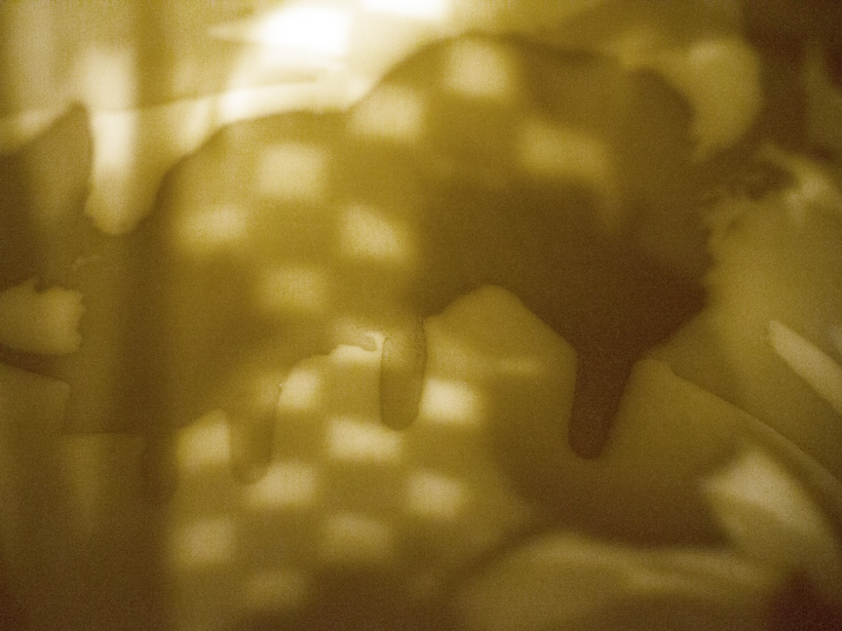 translucency