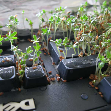 keyboard garden