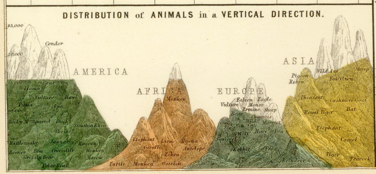 zoological chart