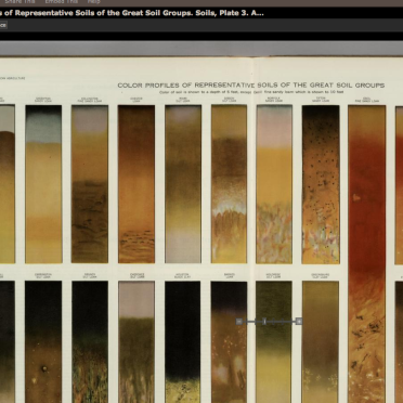 soils