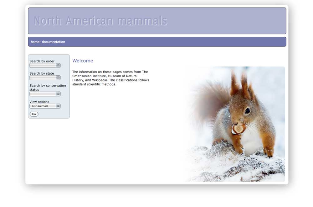 north american mammals, part 1
