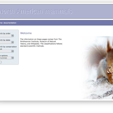 north american mammals, part 1