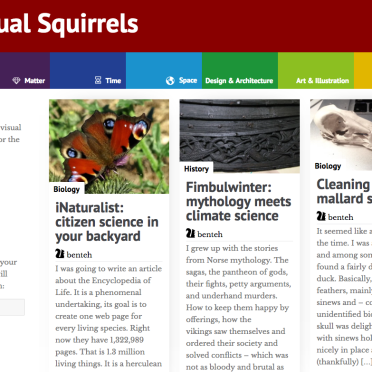 VIsual Squirrels