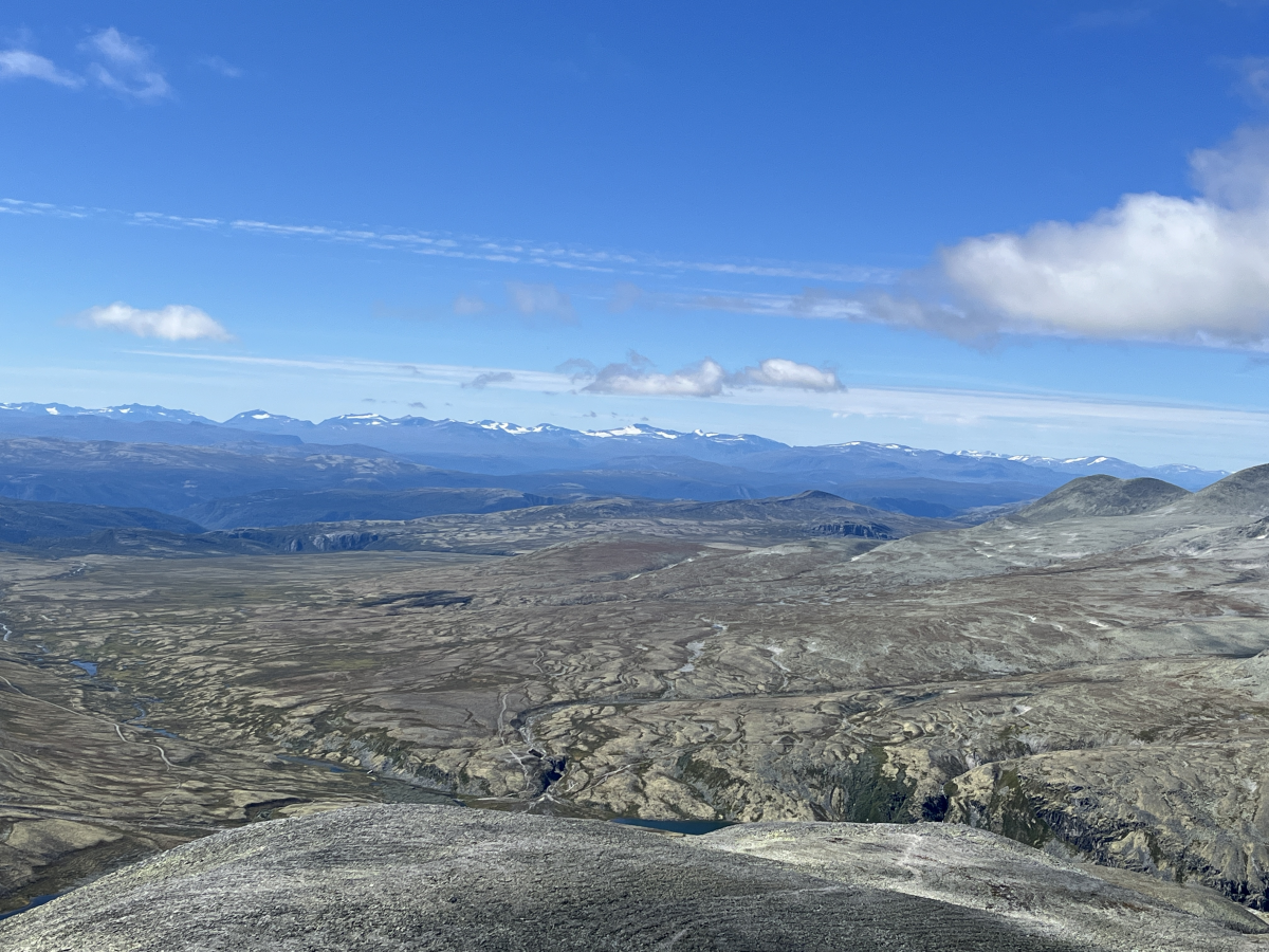 vista