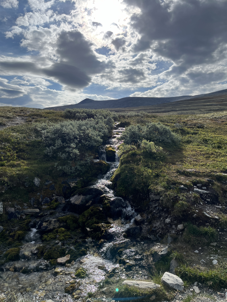 Rondane