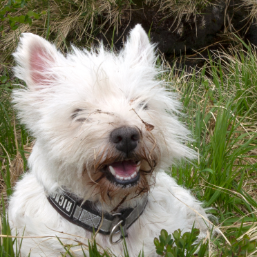 what do you mean i have sticks on my face?!