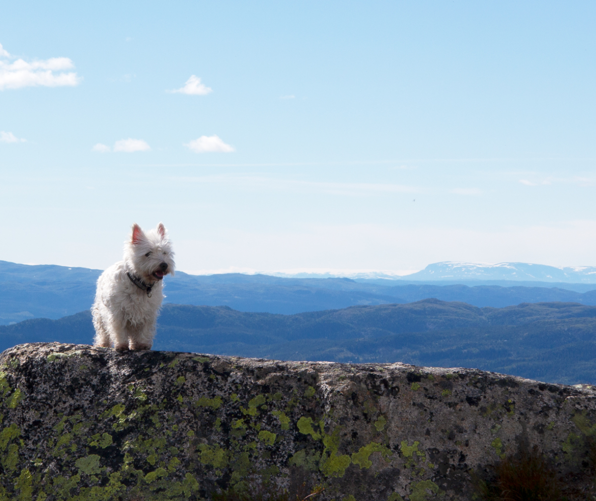 summit