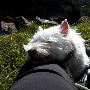 snooze