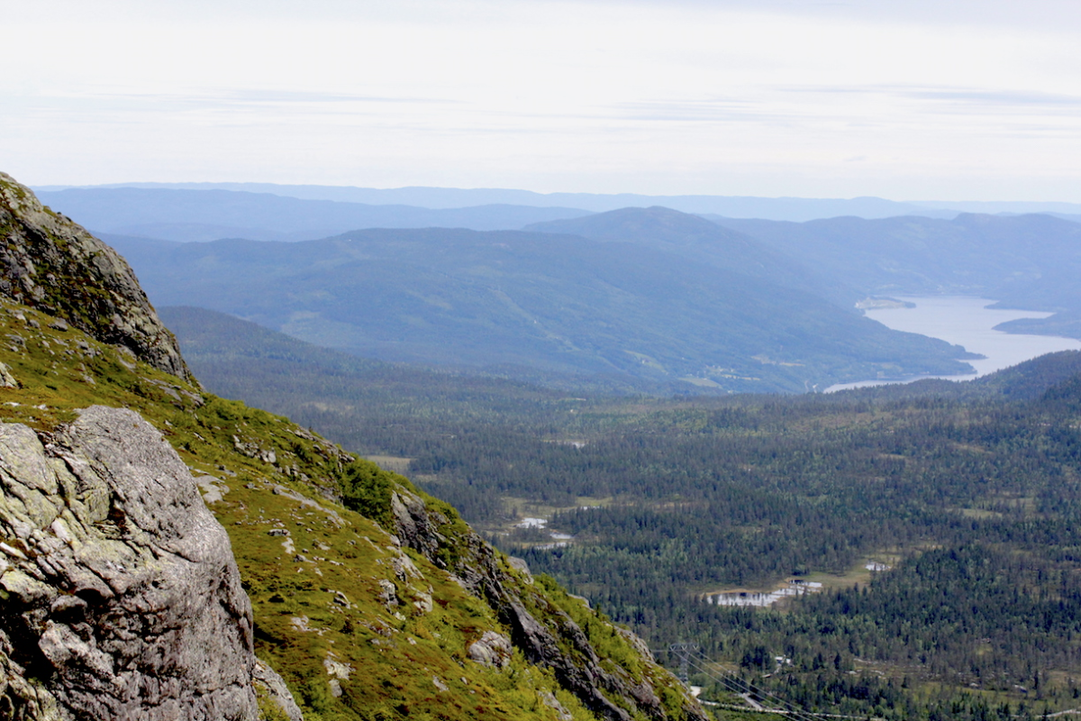 view