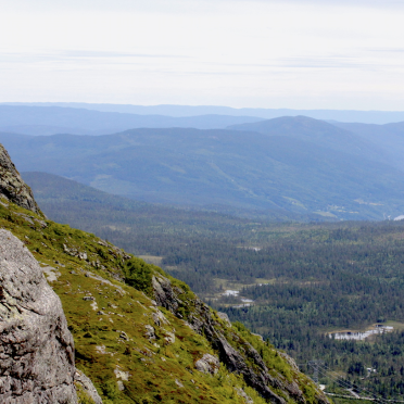 higher…
