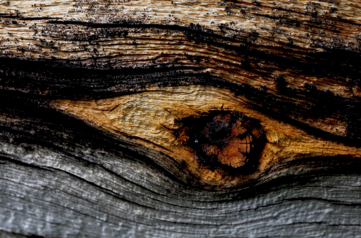 wood