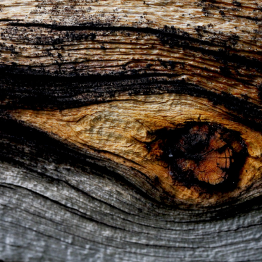 wood
