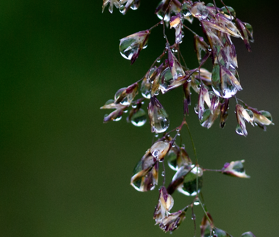 rainy days