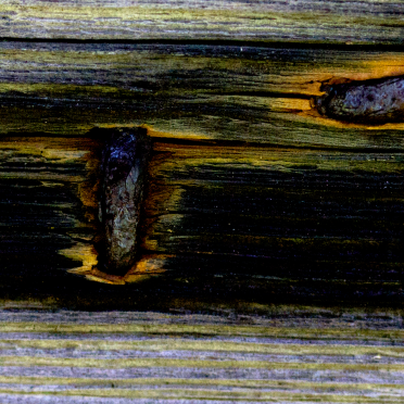 wood