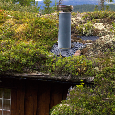 living roof
