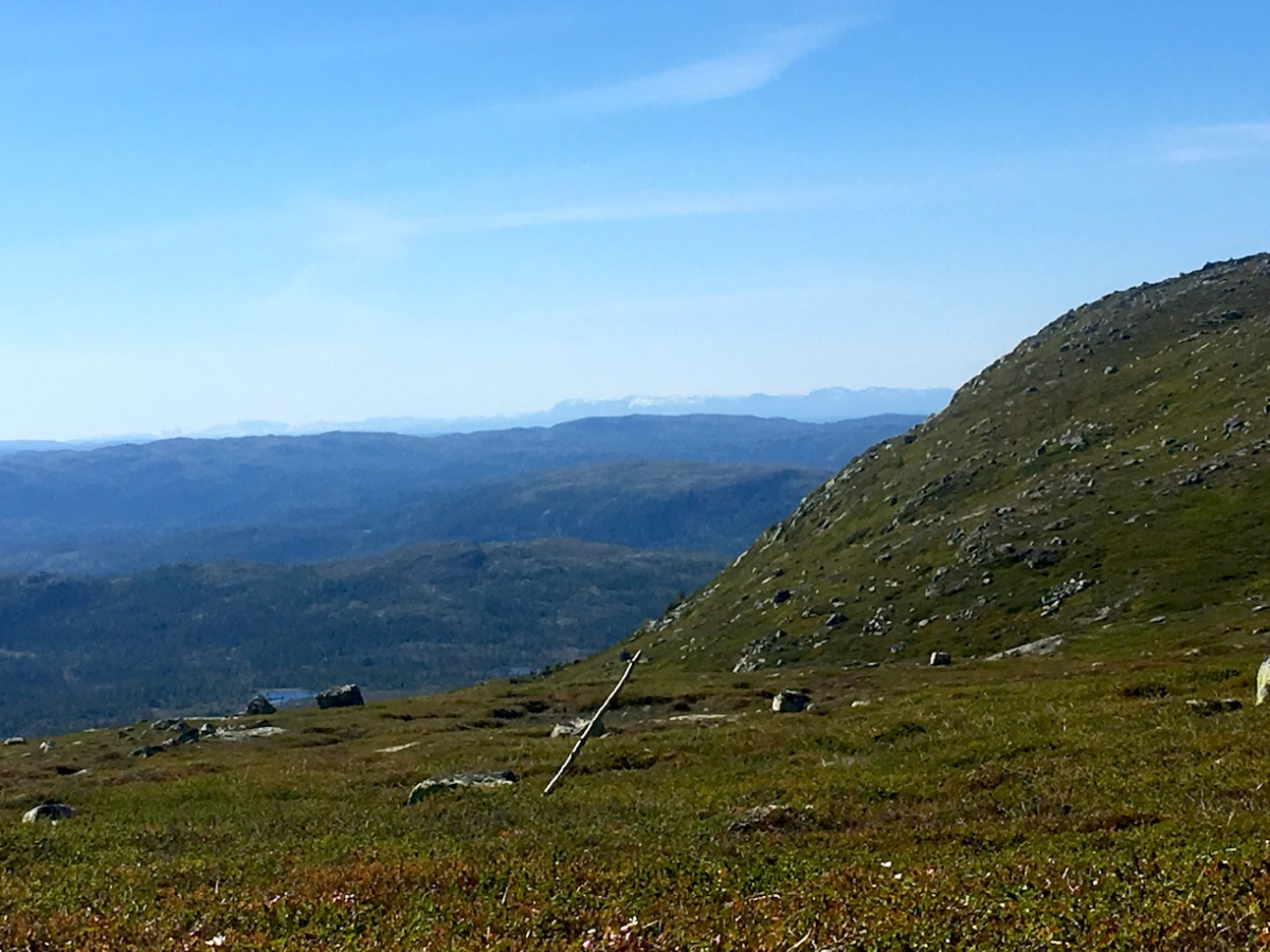 view