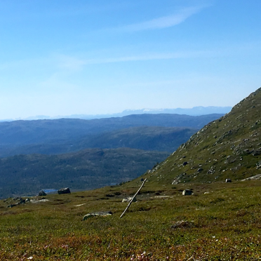 view