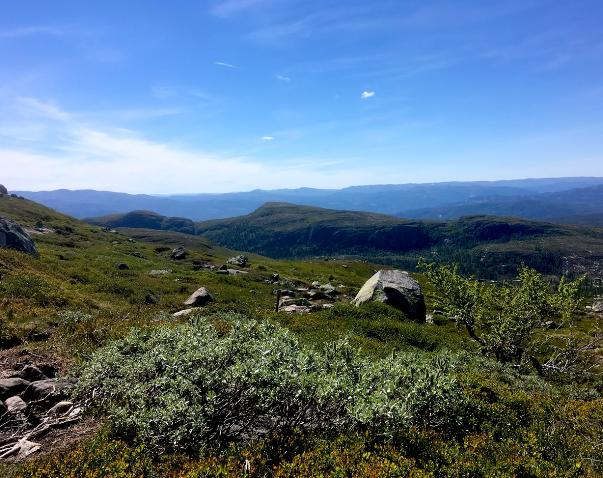 view