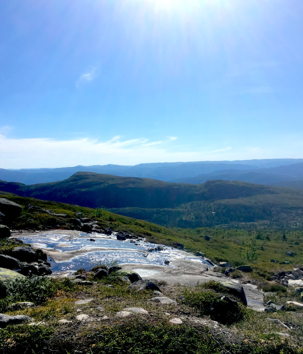 view…