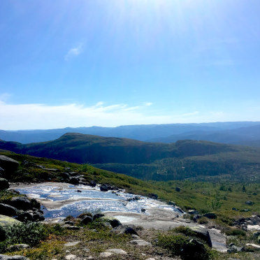 view…