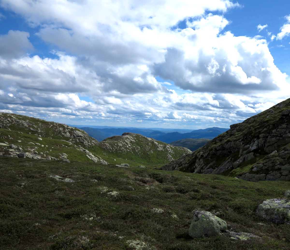 view