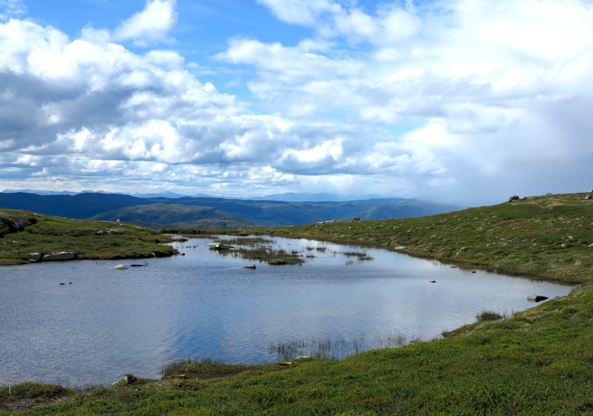 these nameless lakes…