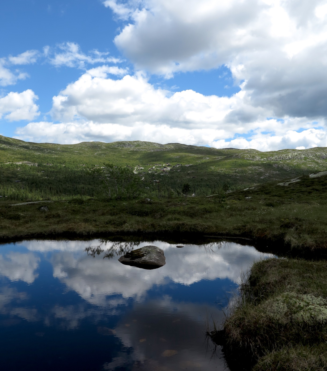 reflection 