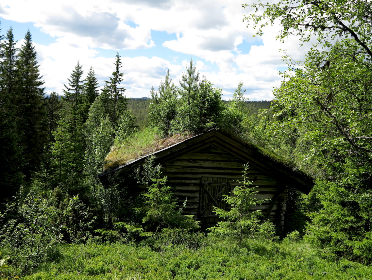 greenery