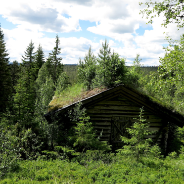 greenery