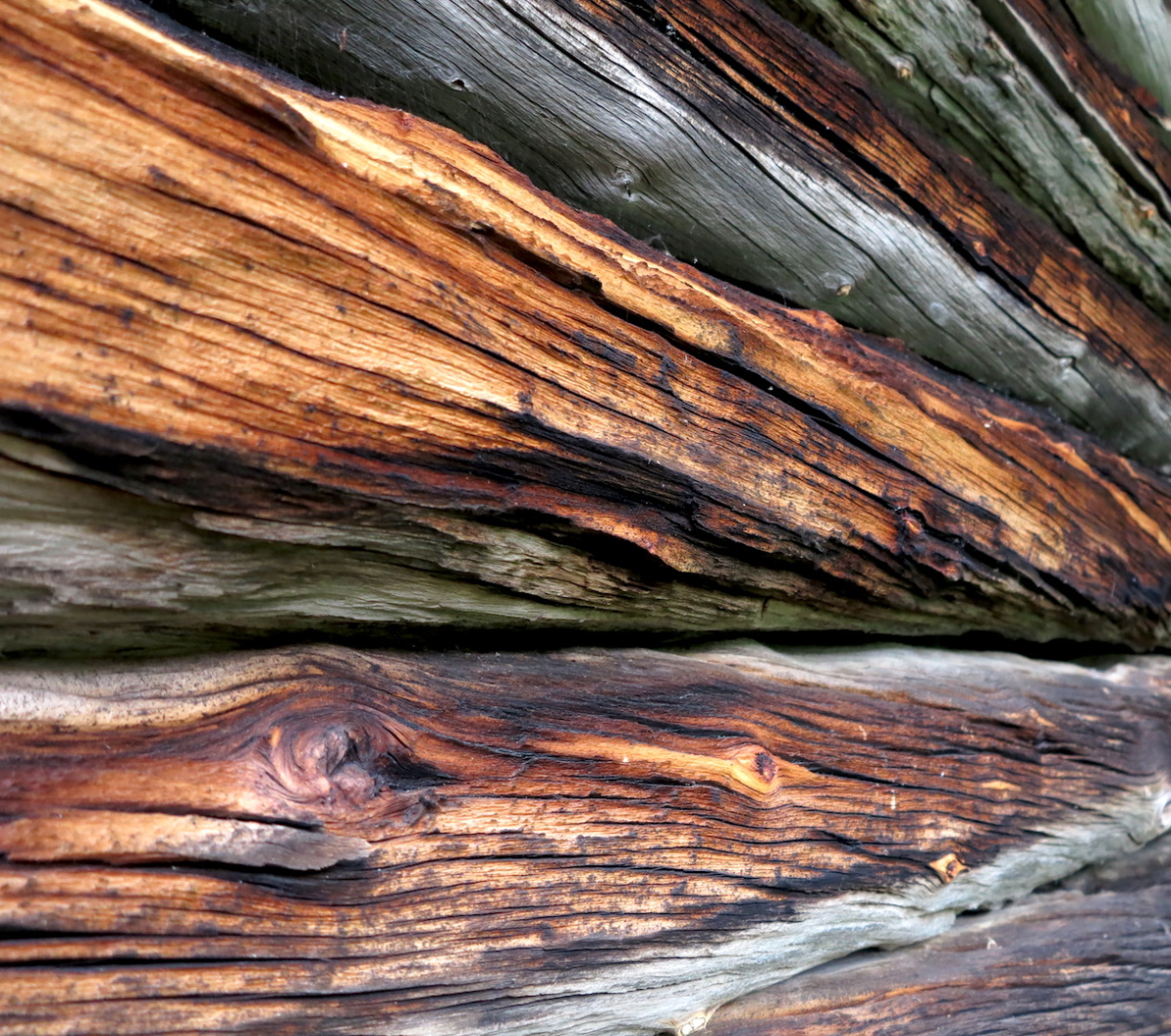 wood