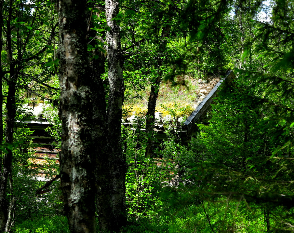 cabin