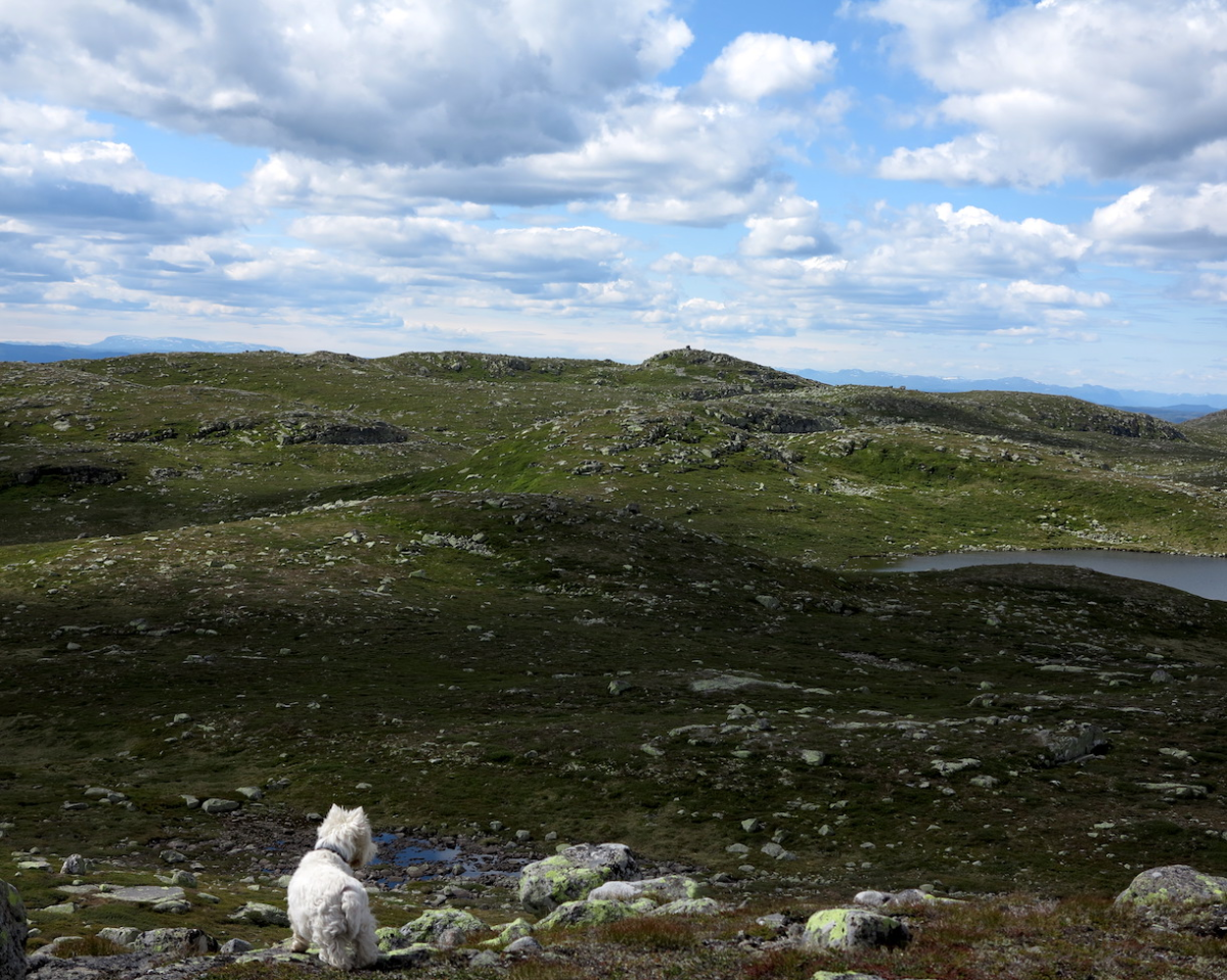 Skarsnatten from the _other_ side