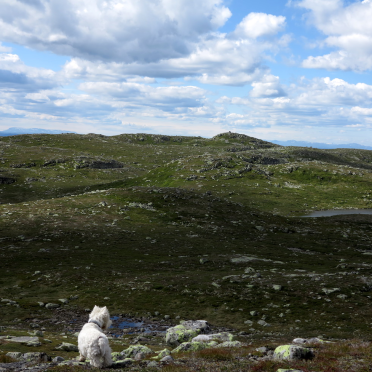 Skarsnatten from the _other_ side