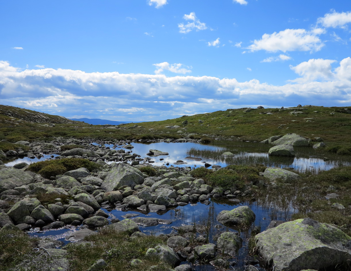 pond