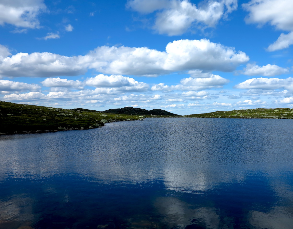 Harehoppvann