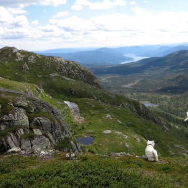 looking at Øvre Harapost…