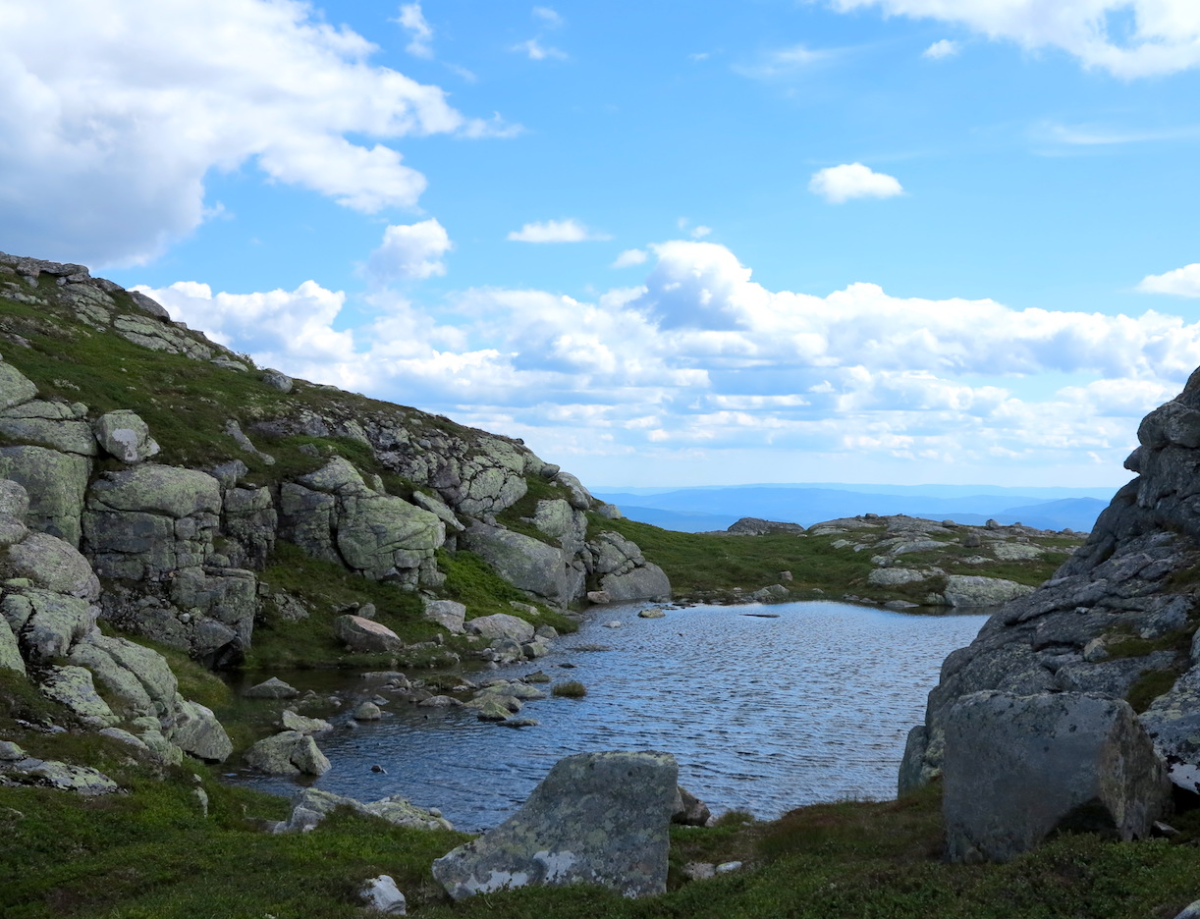 tiny lake