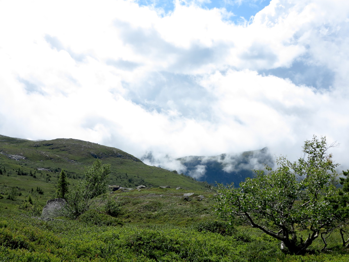 low clouds