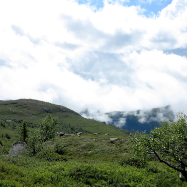 low clouds