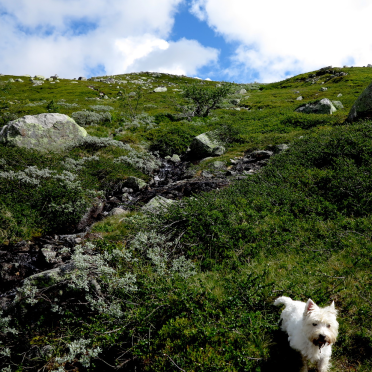 it is always uphill…