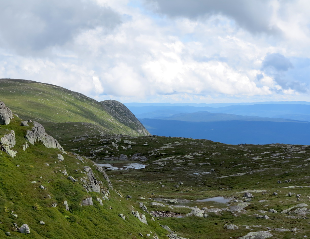 Sørbølnatten