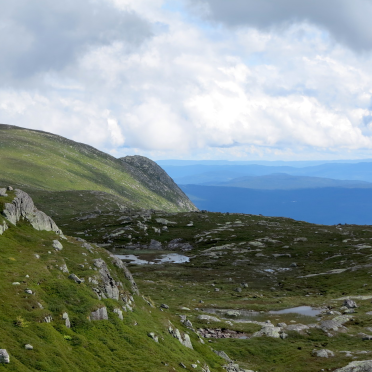 Sørbølnatten