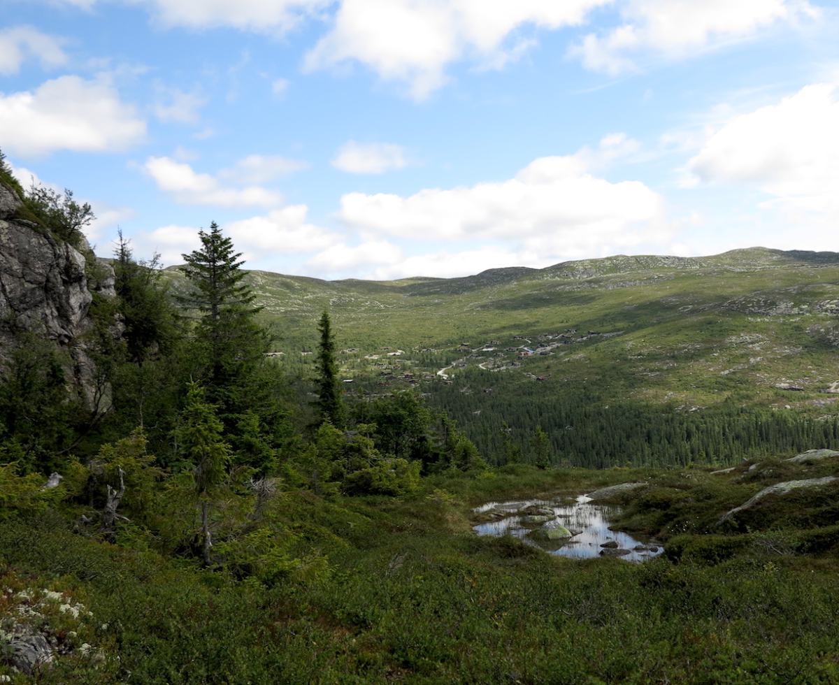 Bear trail
