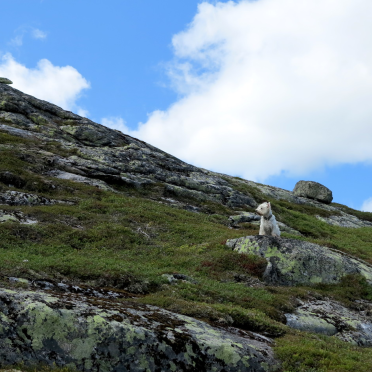 onwards, upwards!
